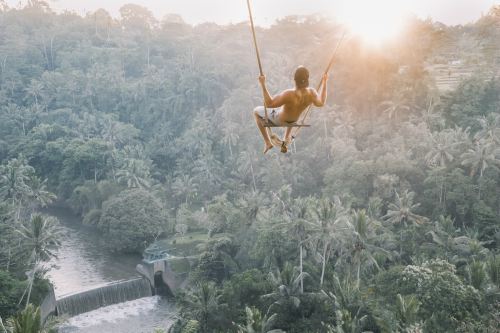 Person swinging on top of jungle